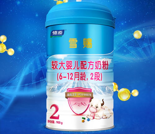 6到12岁喝什么奶粉最好