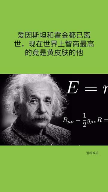 世界上谁最聪明? 世界上谁最聪明？