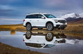 二十万最有面子的suv