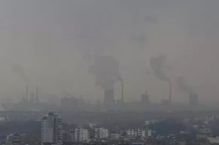 十大污染有哪些 列举10条环境污染的现象？