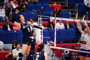 2019女排世界杯得分榜 中国女排在世界杯上的最好成绩是