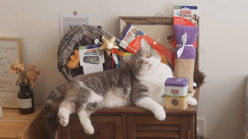 中国宠物用品品牌排行榜,国产十大安全猫粮品牌