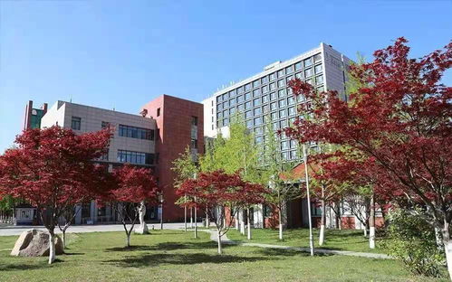 中国地质大学北京世界排名多少 中国地质大学世界排名