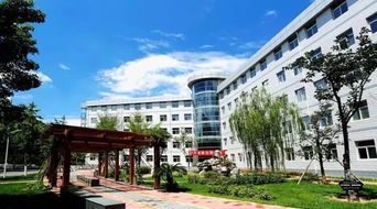 北京信息职业技术学院排名 北京专科学校公办排名